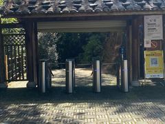 -梁野山景区