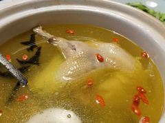 石耳炖肥西老母鸡汤-同庆楼(金宝汇店)