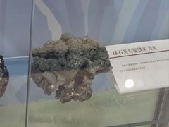 -中国第四纪冰川遗迹陈列馆