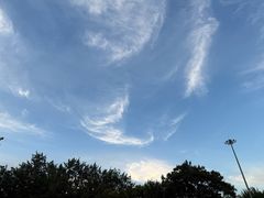 -朝阳公园游乐园