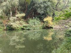 -岳麓山风景名胜区