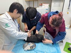 -瑞派·关忠动物医院·猫专科·犬专科(三环新城店)