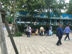 -海富金太阳幼儿园(金杨十街坊东)