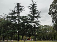 -四川大学(望江校区)