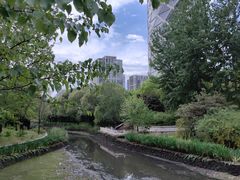 -大望京公园