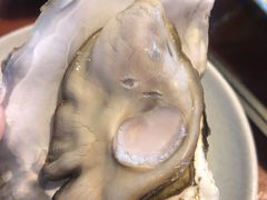 -千岛蚝高压锅生蚝·人参火锅(白云万达店)