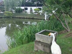 -山水间小院