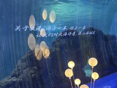 -重庆欢乐海底世界