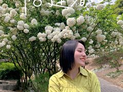 -铁山坪森林公园