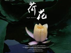 -前关湿地公园
