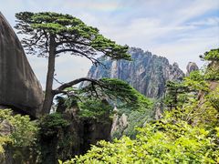 -黄山风景区