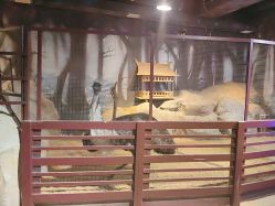 -酷嗒动物文化乐园(cutezoo西溪乐天城店)