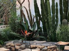 -自由生长植物工作室(深港花卉中心店)