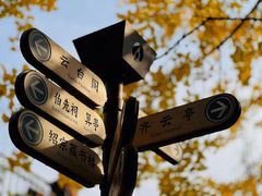 -伯先公园
