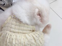 -怪兽屋·羊驼·猫咖·狗咖(俊华广场店)
