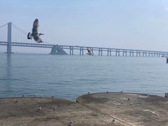 -星海广场