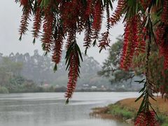 -松山湖风景区松湖烟雨