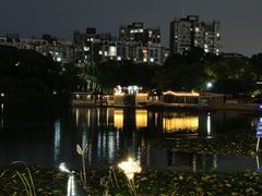 -新江湾城公园