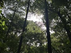 -赭山公园