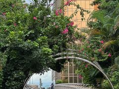 -香港皇家太平洋酒店