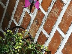 -三个大叔东北烧烤·砂锅菜(西三旗店)