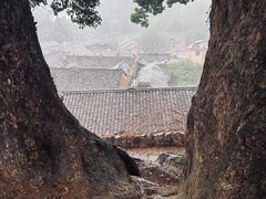 -杨家堂村