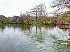 -海珠湖公园
