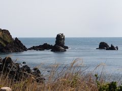 -涉地可支