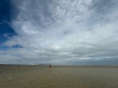 -北海金海湾红树林生态旅游区