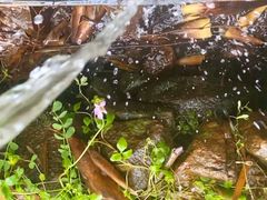 -宁波浙东大竹海景区