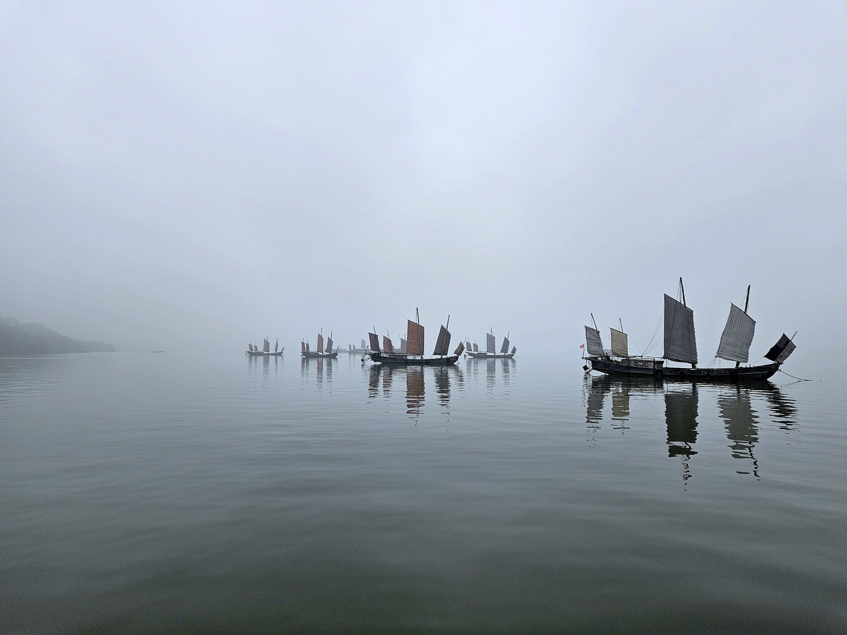 雨雾太湖千帆过[鸭子]
