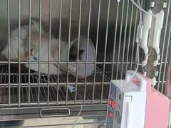 -乐宠动物医院