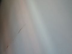 -巢爷老味(东方红店)