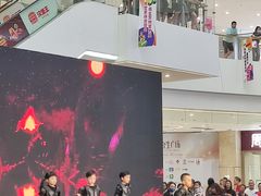 -卢米埃影城(合生广场IMAX店)