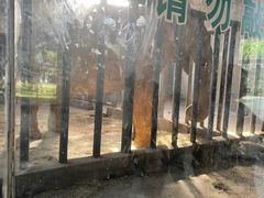 -石家庄市动物园