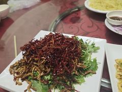 -鑫诚筋饼王(红旗小区店)