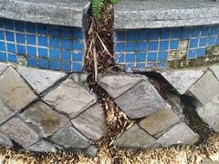 -广州神农草堂中医药博物馆