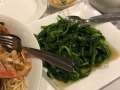 -食为先(Shark Fin)