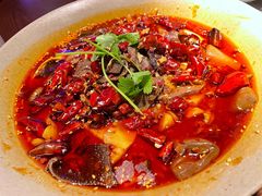 招牌毛血旺-映水芙蓉(上海万象城店)