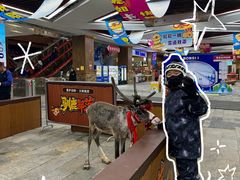 -哈尔滨热雪奇迹