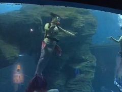 -北海·海洋之窗