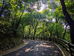-广州市帽峰山景区