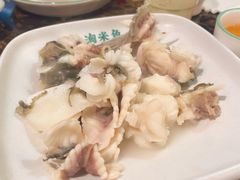 脆肉皖-鱼粤鲜淘米捞·中山脆肉鲩火锅(悦湖会店)