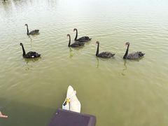 -南大港湿地风景区