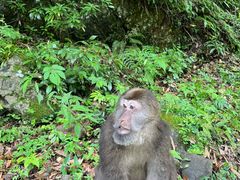 -西岭雪山大飞水景区