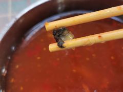 -红鼻子桂林米粉(金唐新光界店)