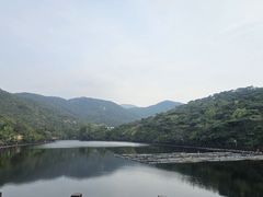 -徂徕山森林康养度假谷温泉