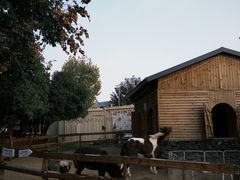 -HERRE·FARM 赫尔露营农场·团建聚会包场