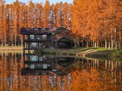 -黄海国家森林公园