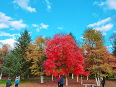 -长春世界雕塑园冰雪艺术天地